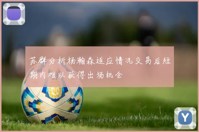 苏群分析杨瀚森适应情况交易后短期内难以获得出场机会